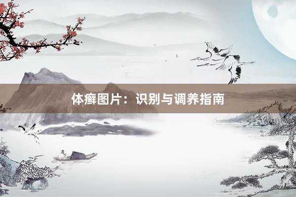 体癣图片：识别与调养指南